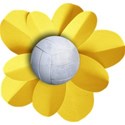 flower3_volley_mikki