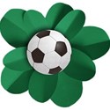 flower2-SOCCER_mikki