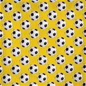 PP2-SOCCER_mikki