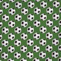 PP5-SOCCER_mikki