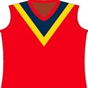 footy top - crows