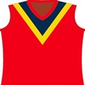 footy top - crows