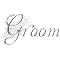 silver groom