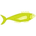 yellow fish