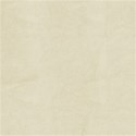 jennyL_holy_paper3