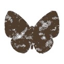 butterflybrown