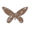 butterflylightbrownstamp