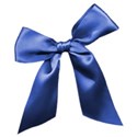 ribbon 14