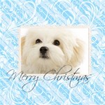 Christmas Theme Card Christmas Theme Card