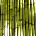 green bamboo emb 