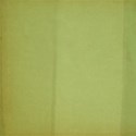 palm leaf emb 