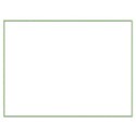 skinny green frame