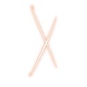 Orange-Capital-X