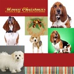 Christmas Theme Card