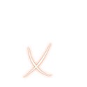 Orange-Small-x