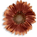 pamperedprincess_autumnblush_flower2 copy