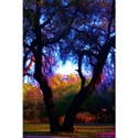 TreeSeries1
