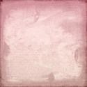 Papers (17)