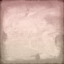 Papers (19)