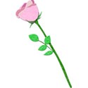 Felt Rose