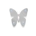 glassclearbutterfly