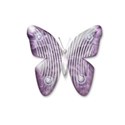 purple pearl butterfly