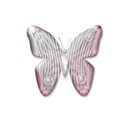 pink pearl butterfly