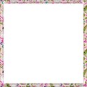 candy pink square