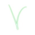 Green-Capital-V