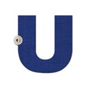 u