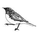 Drawn10