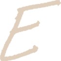 E1