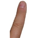 Finger