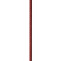 Spine1