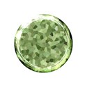 jewel--9