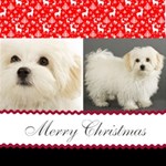 Christmas Theme Card Christmas Theme Card