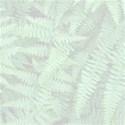 fern background 12x12