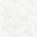 Paper5