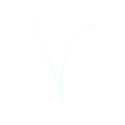 White-Capital-V