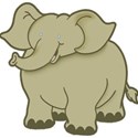 bos_tj_elephant