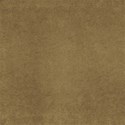 bos_tj_ppr18