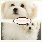 Christmas Theme Card Christmas Theme Card