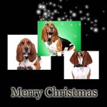 Christmas Theme Card Christmas Theme Card
