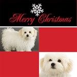 christmas theme card christmas theme card