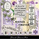 Friends Forever Kit Cover 1