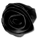 flowerblack