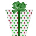 present6