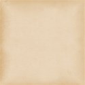 paper old  tan 2