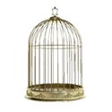 birdcage