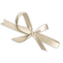 bow 02 ivory DS